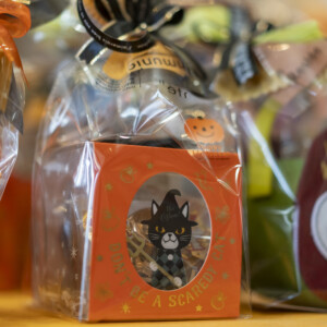 アルプラザ敦賀｜小堀日之出堂 ハロウェイン お菓子