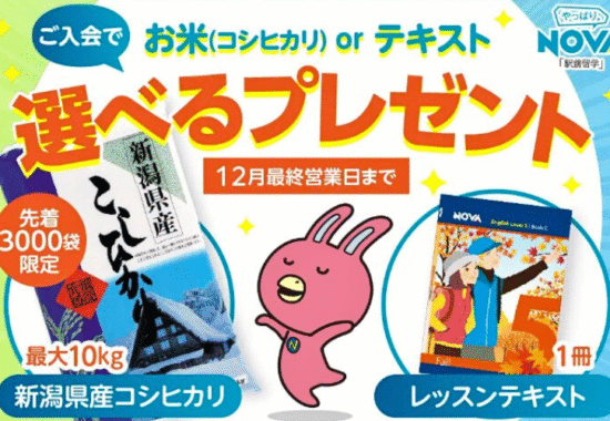 アルプラザ敦賀｜NOVA ご入会で選べるプレゼント